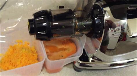omega 8600 juicer